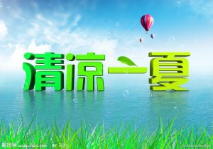 芬兰队击败保加利亚：冰上豪情与胜利之夜