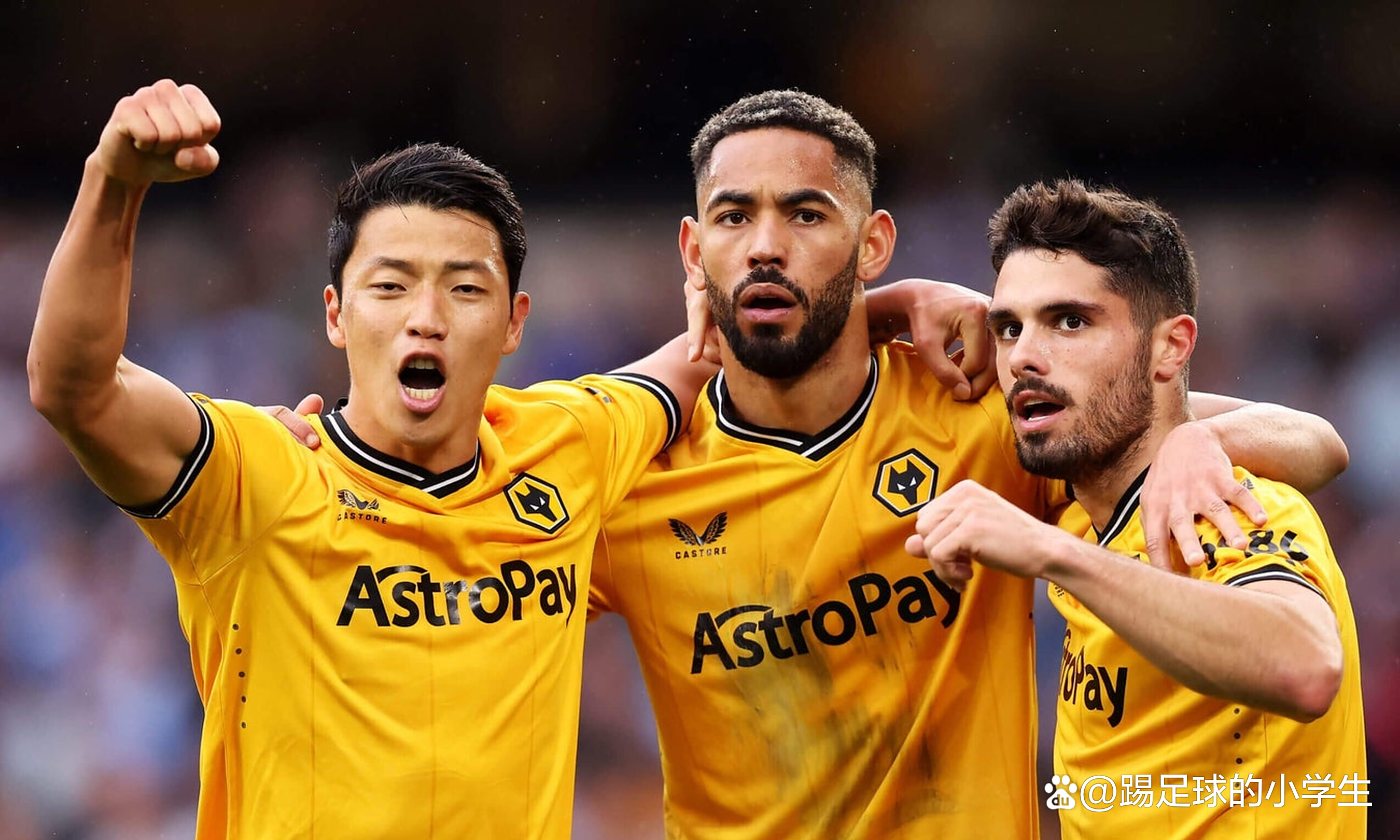 三亿体育体育平台-关于狼队主场告捷，力争保级成功的信息